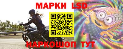 стафф Обнинск